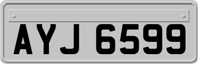 AYJ6599