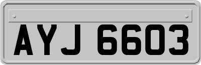 AYJ6603