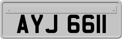AYJ6611