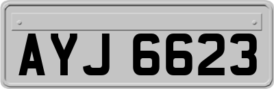 AYJ6623