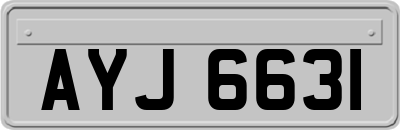 AYJ6631