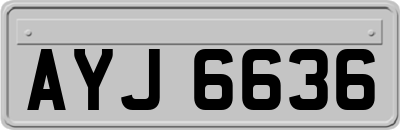 AYJ6636