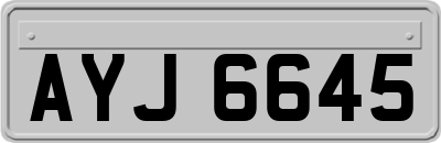 AYJ6645