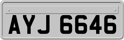 AYJ6646