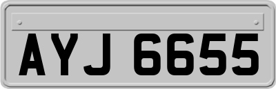 AYJ6655