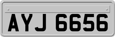 AYJ6656