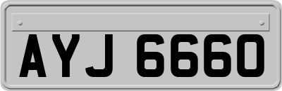 AYJ6660