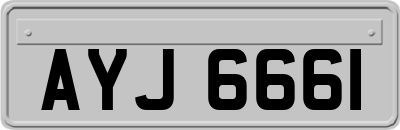 AYJ6661