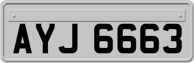 AYJ6663