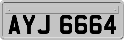 AYJ6664