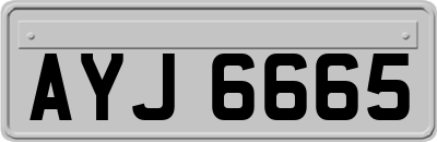 AYJ6665