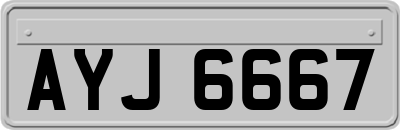 AYJ6667