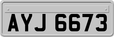 AYJ6673