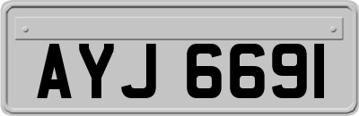 AYJ6691