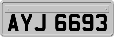 AYJ6693