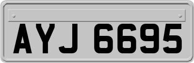 AYJ6695