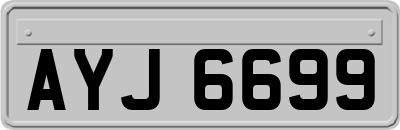 AYJ6699