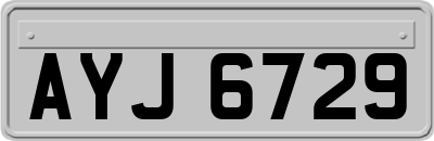 AYJ6729
