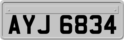 AYJ6834