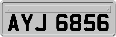 AYJ6856
