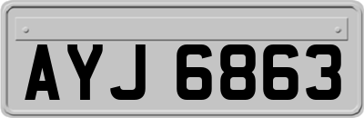 AYJ6863