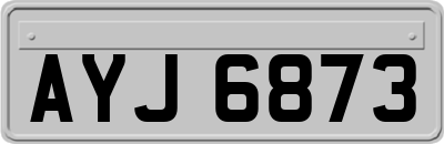 AYJ6873