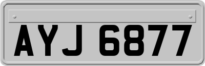 AYJ6877