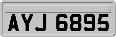 AYJ6895