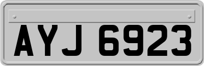AYJ6923