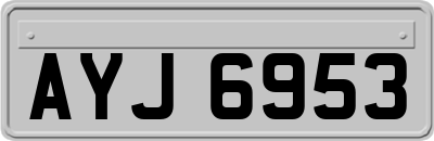 AYJ6953