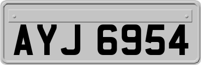 AYJ6954