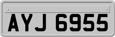 AYJ6955