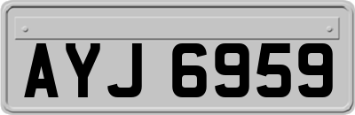 AYJ6959