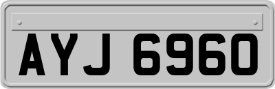 AYJ6960