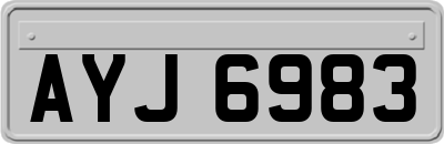 AYJ6983