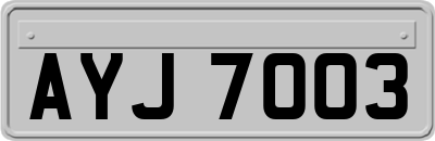 AYJ7003