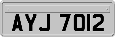 AYJ7012