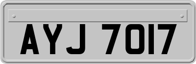 AYJ7017
