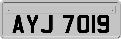 AYJ7019