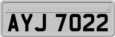 AYJ7022
