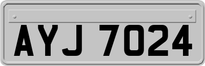 AYJ7024