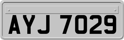 AYJ7029