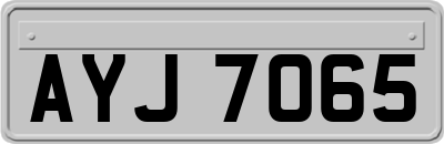 AYJ7065