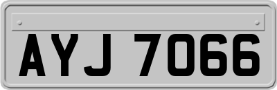 AYJ7066
