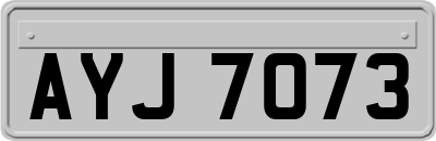 AYJ7073