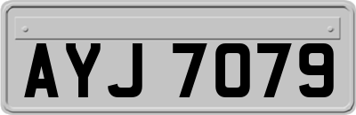 AYJ7079