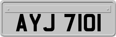 AYJ7101