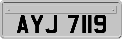 AYJ7119