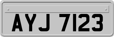 AYJ7123