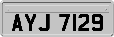 AYJ7129